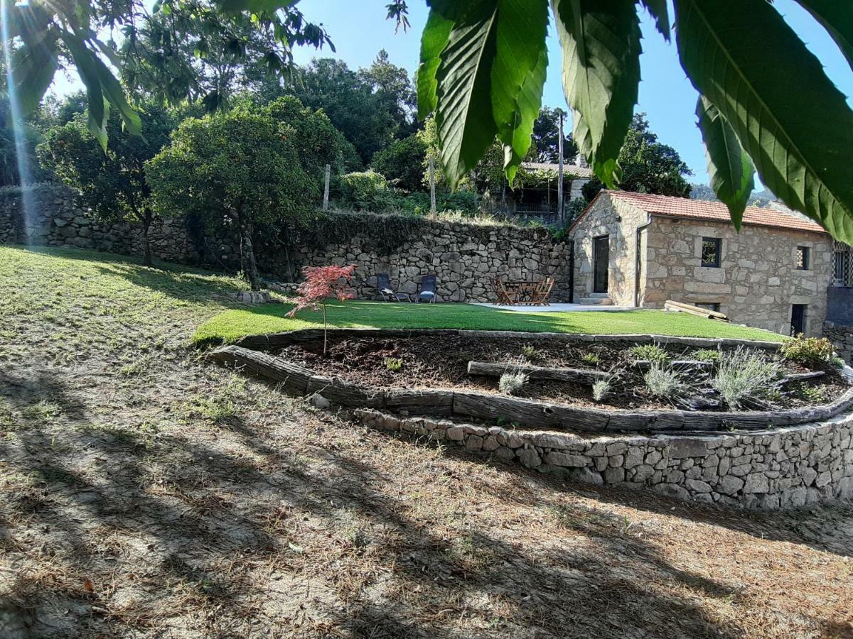 River House Sejaes Oliveira de Frades Exterior foto