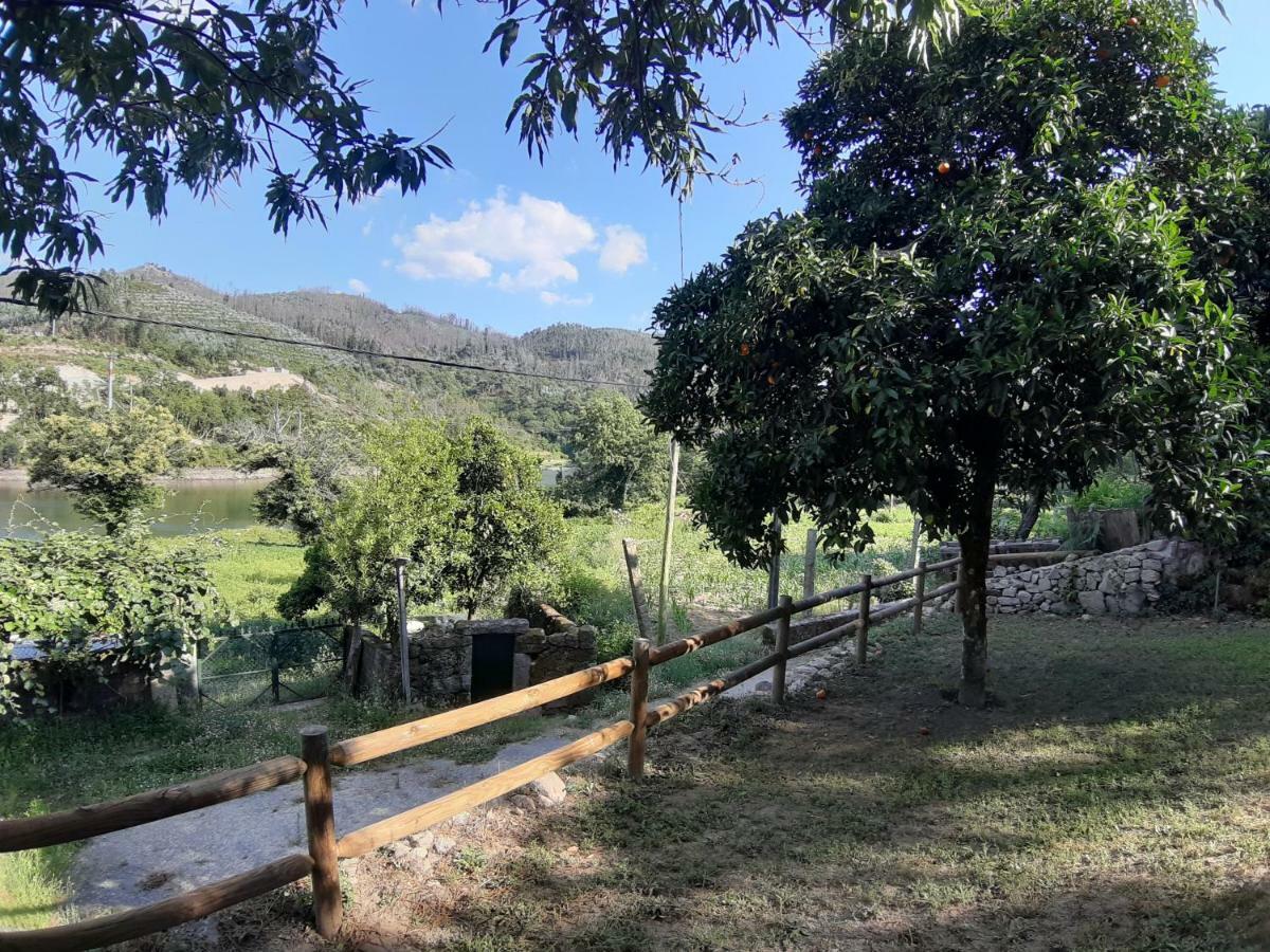 River House Sejaes Oliveira de Frades Exterior foto